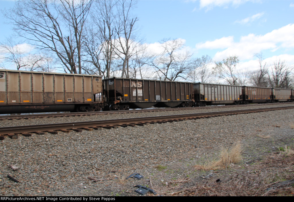 NS 10207
